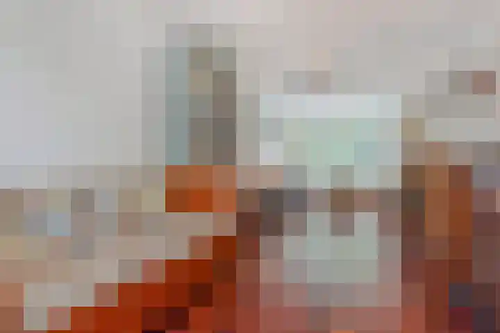 Valkenboskade 621 Den Haag thumbnail 12