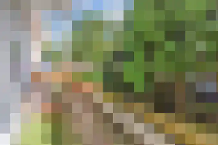 Valkenboskade 621 Den Haag thumbnail 33