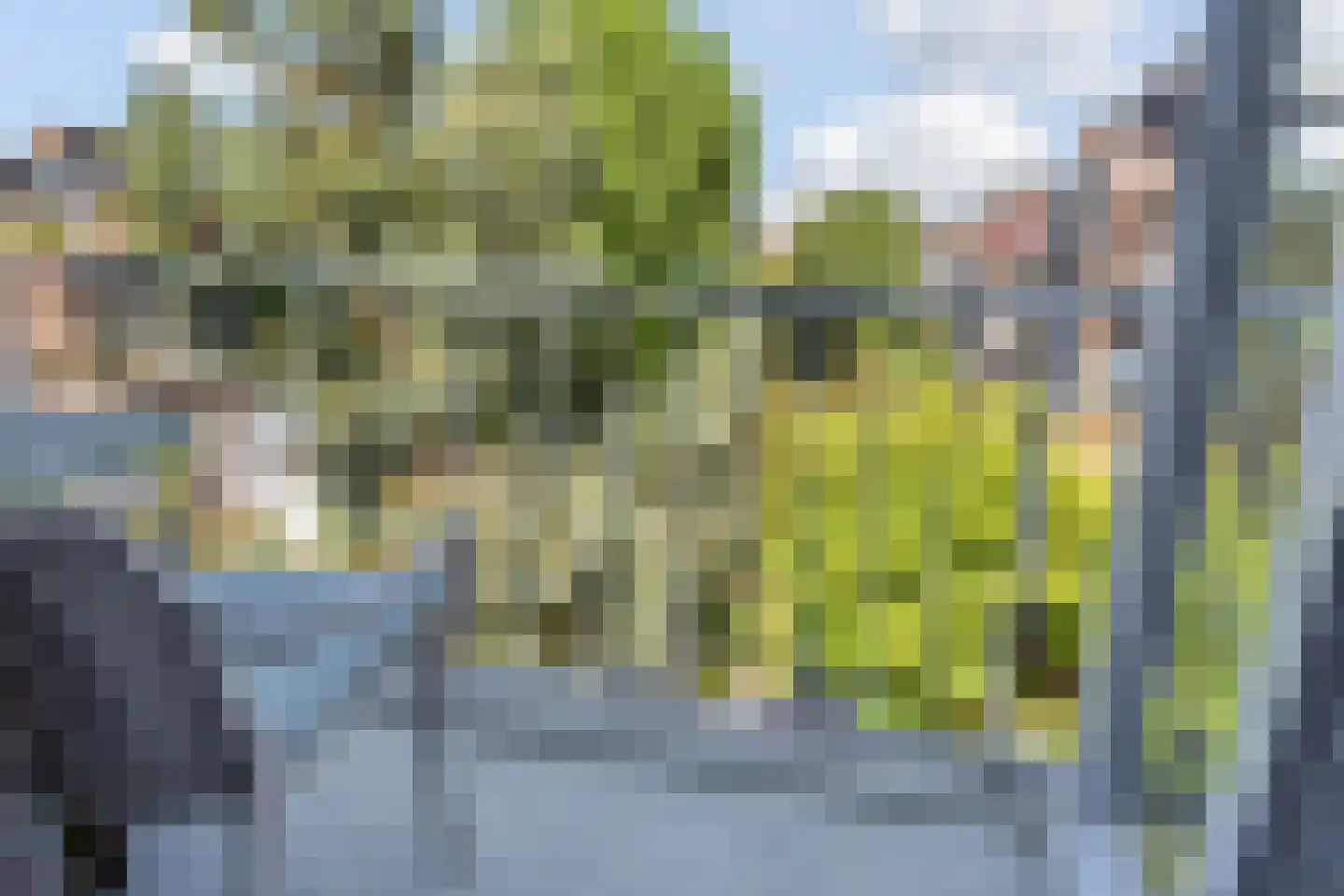 Valkenboskade 653 Den Haag thumbnail 9