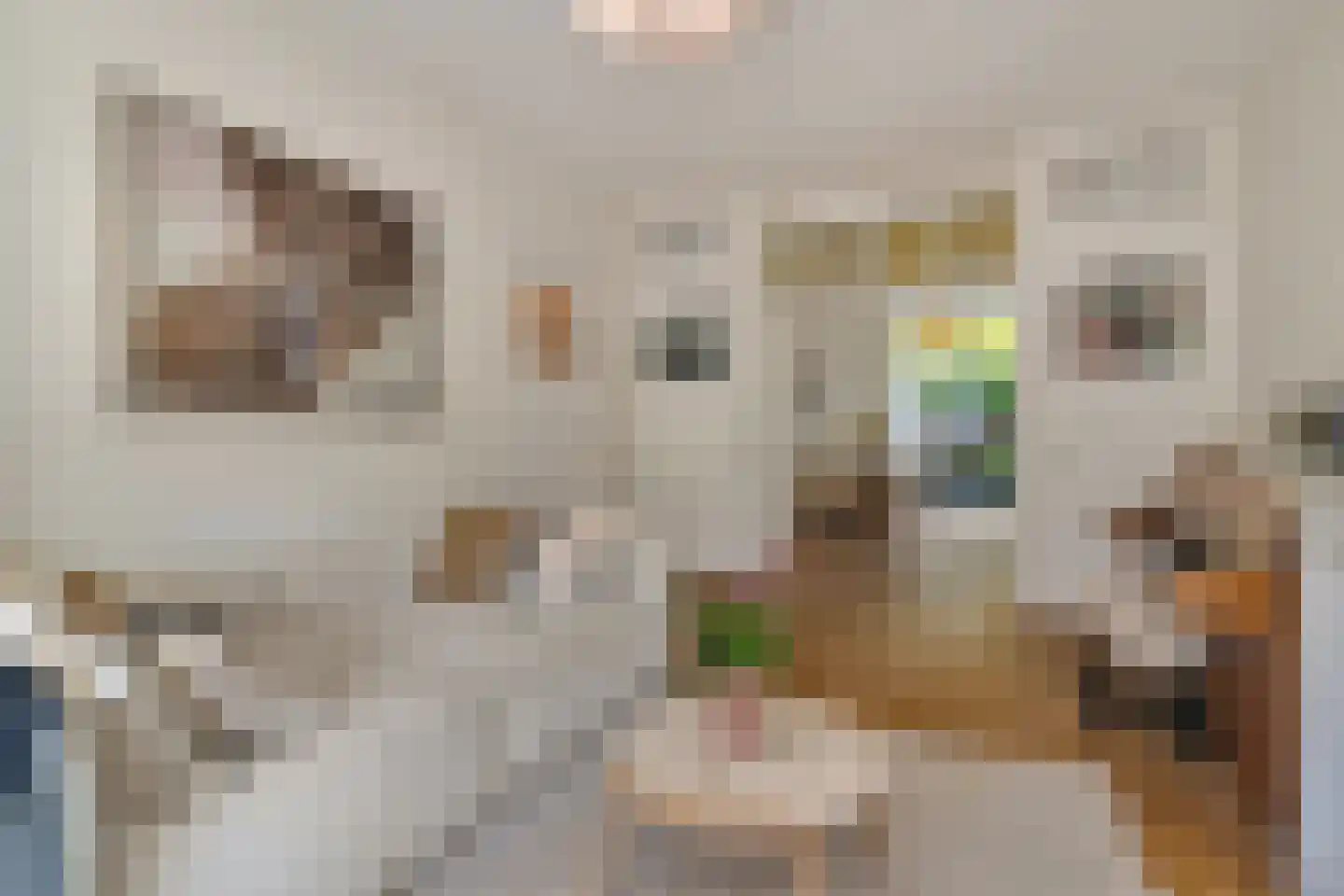 Valkenboskade 667 Den Haag thumbnail 14