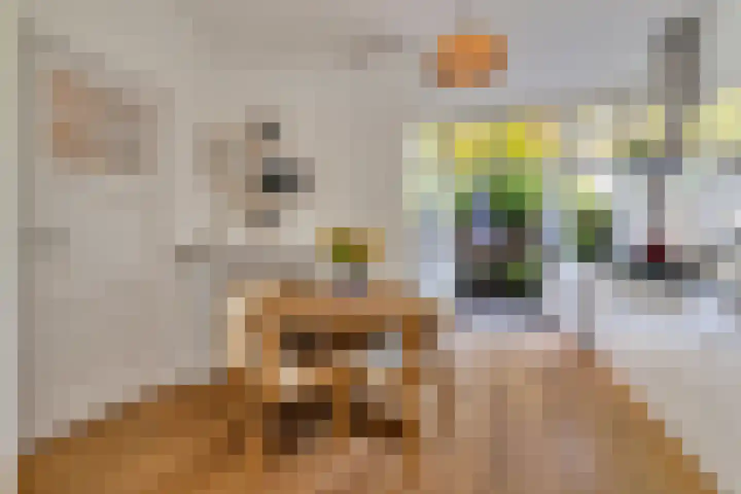 Valkenboskade 667 Den Haag thumbnail 15