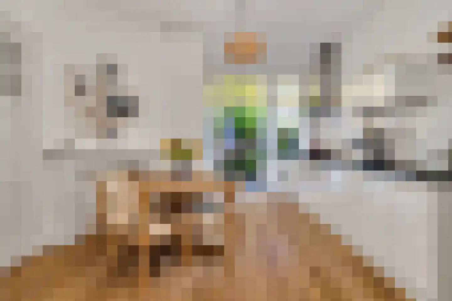 Valkenboskade 667 Den Haag thumbnail 16
