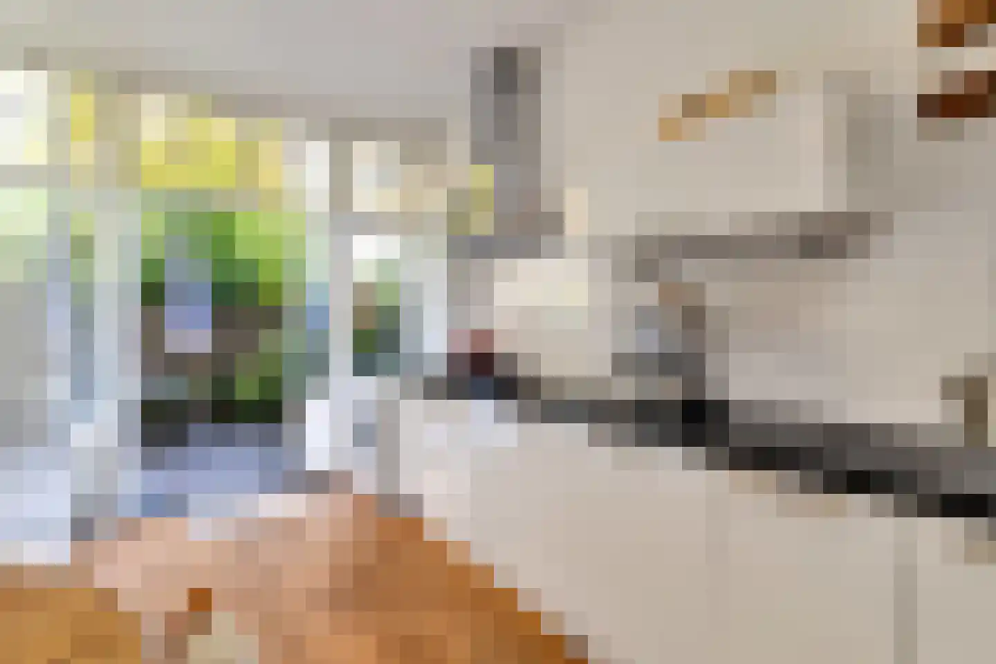 Valkenboskade 667 Den Haag thumbnail 17