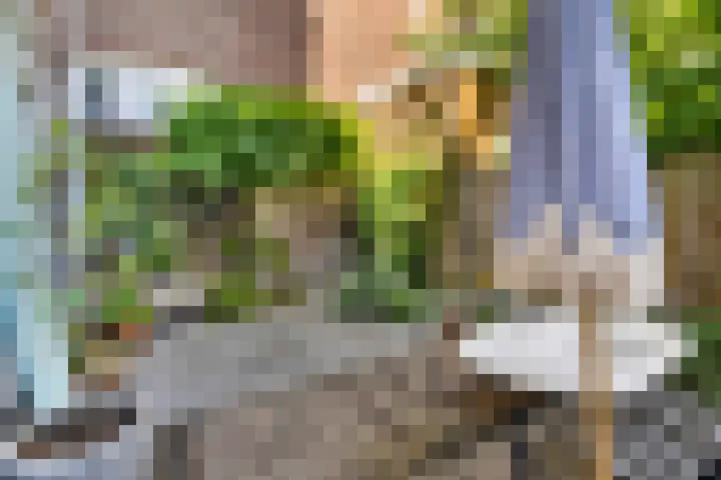Valkenboskade 667 Den Haag thumbnail 19