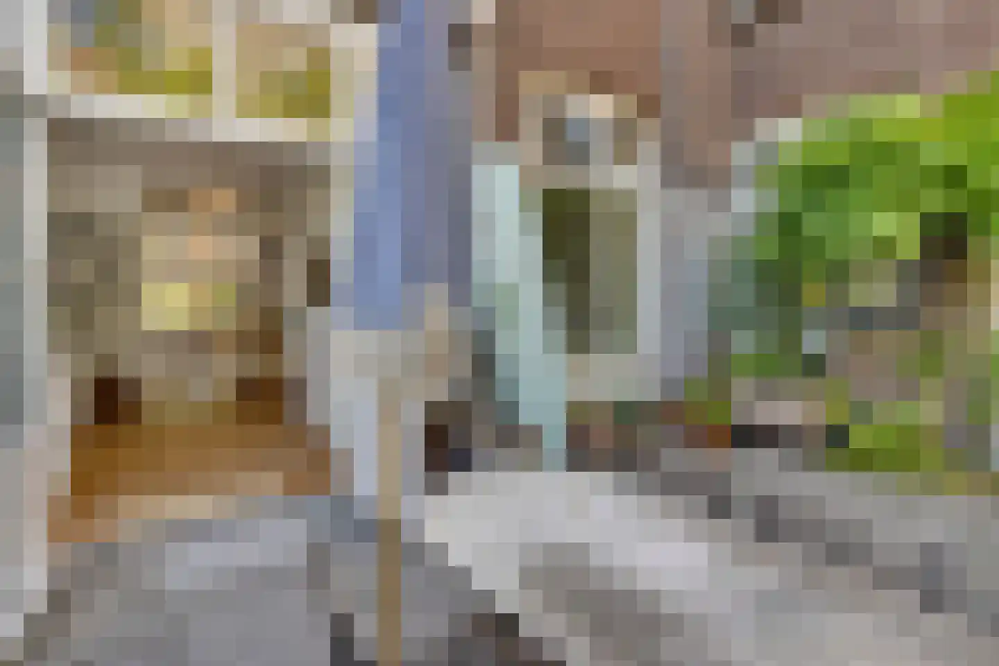 Valkenboskade 667 Den Haag thumbnail 21