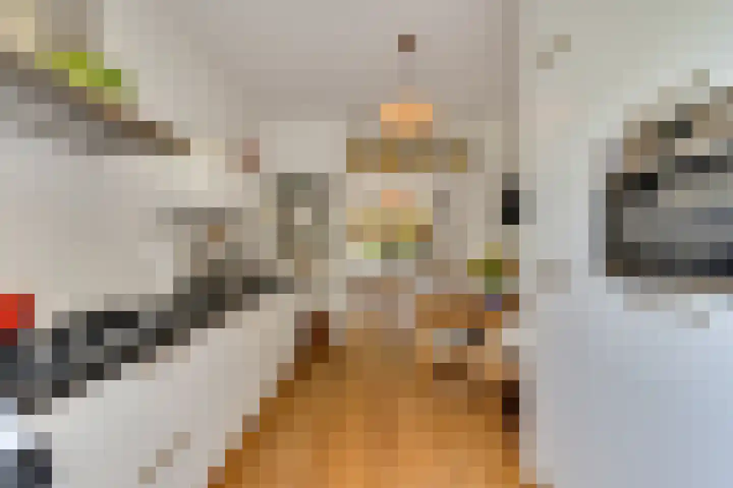 Valkenboskade 667 Den Haag thumbnail 22