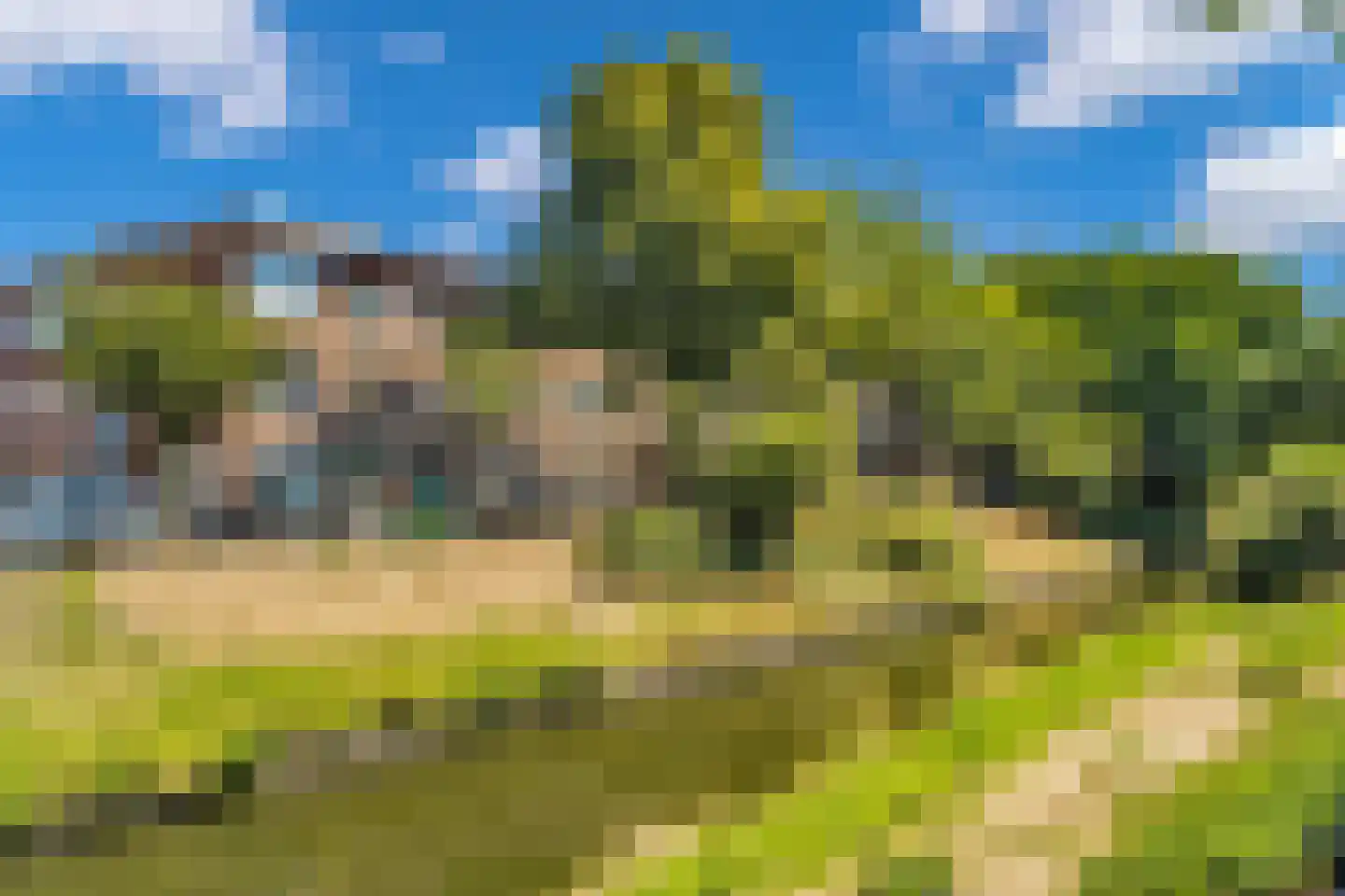 Valkenboskade 667 Den Haag thumbnail 5