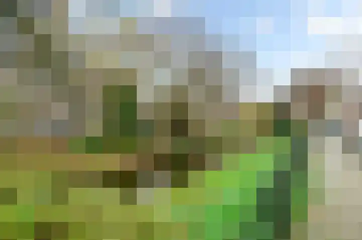 Valkenboskade 672 Den Haag thumbnail 5
