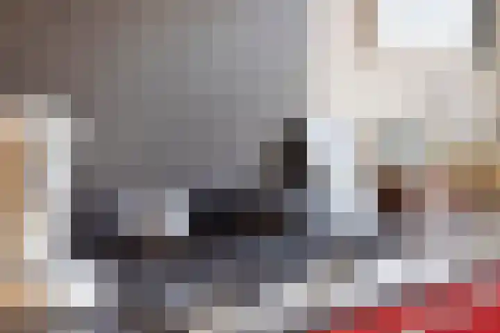 Valkenboskade 85 Den Haag thumbnail 10