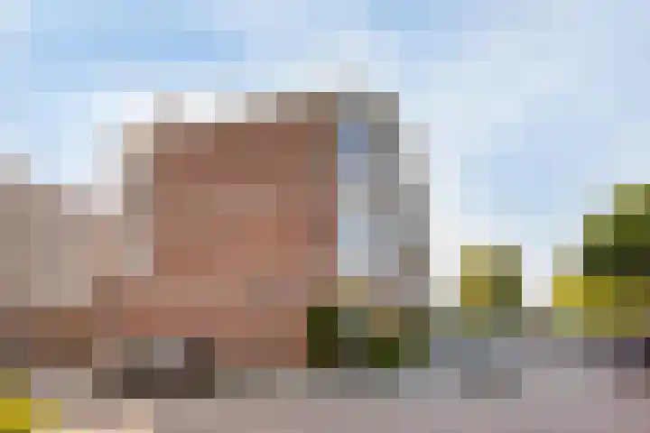 Valkenboskade 85 Den Haag thumbnail 27
