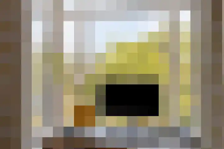 Valkenboskade 85 Den Haag thumbnail 7