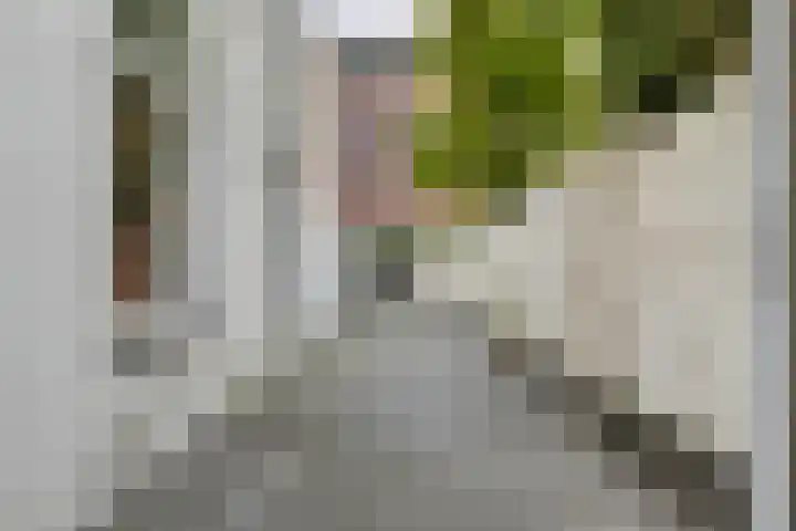 Valkenboskade 90 Den Haag thumbnail 10