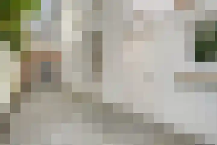 Valkenboskade 90 Den Haag thumbnail 11