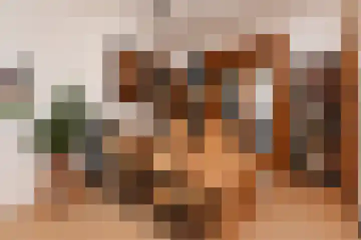 Valkenboskade 97 Den Haag thumbnail 10