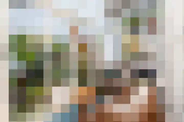 Valkenboskade 97 Den Haag thumbnail 14