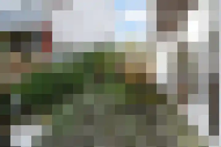 Valkenboskade 97 Den Haag thumbnail 15