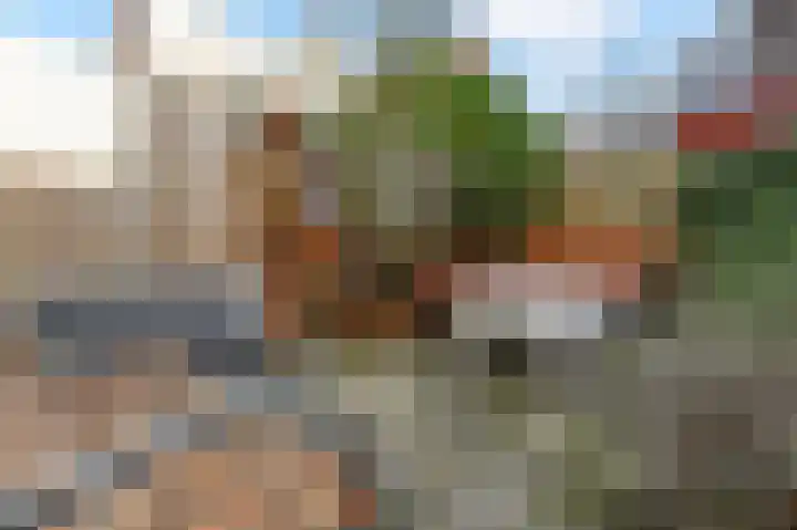 Valkenboskade 97 Den Haag thumbnail 17