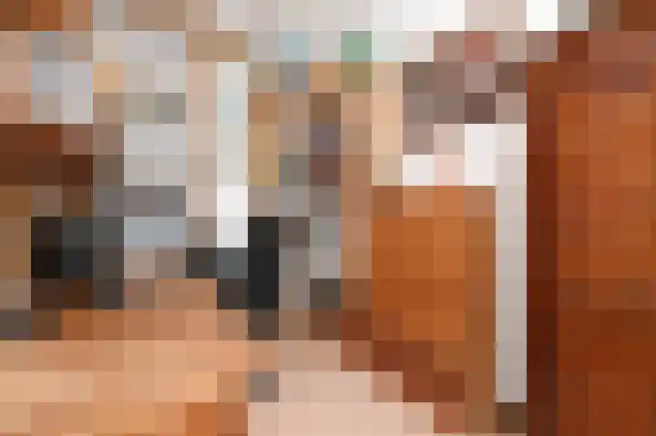 Valkenboskade 97 Den Haag thumbnail 6