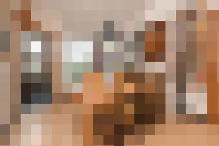 Valkenboskade 97 Den Haag thumbnail 9