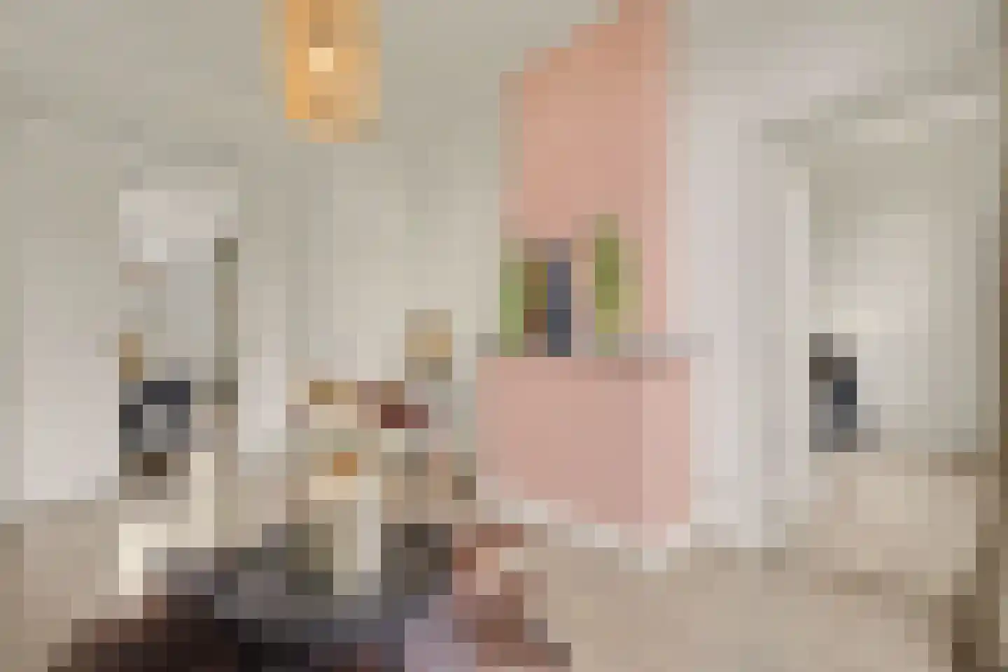 Valkenboslaan 133 Den Haag thumbnail 6