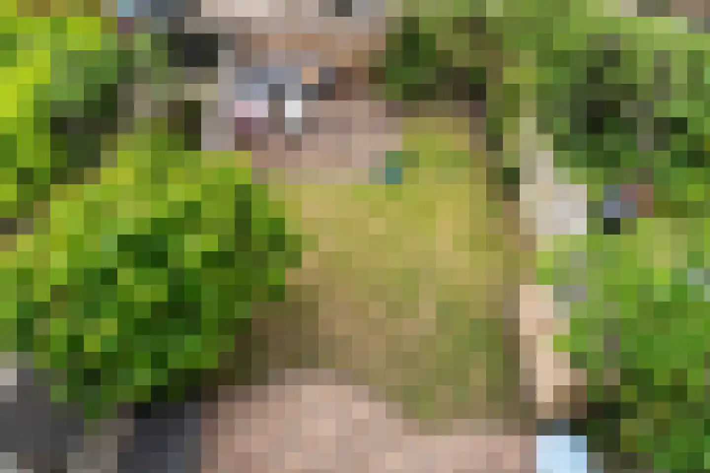 Valkenboslaan 14 Den Haag thumbnail 41