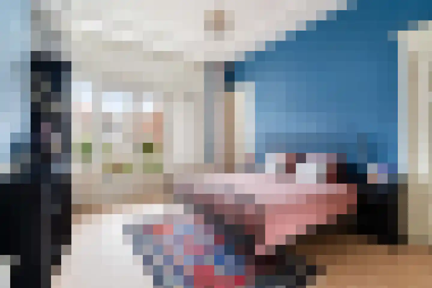 Valkenboslaan 14 Den Haag thumbnail 46