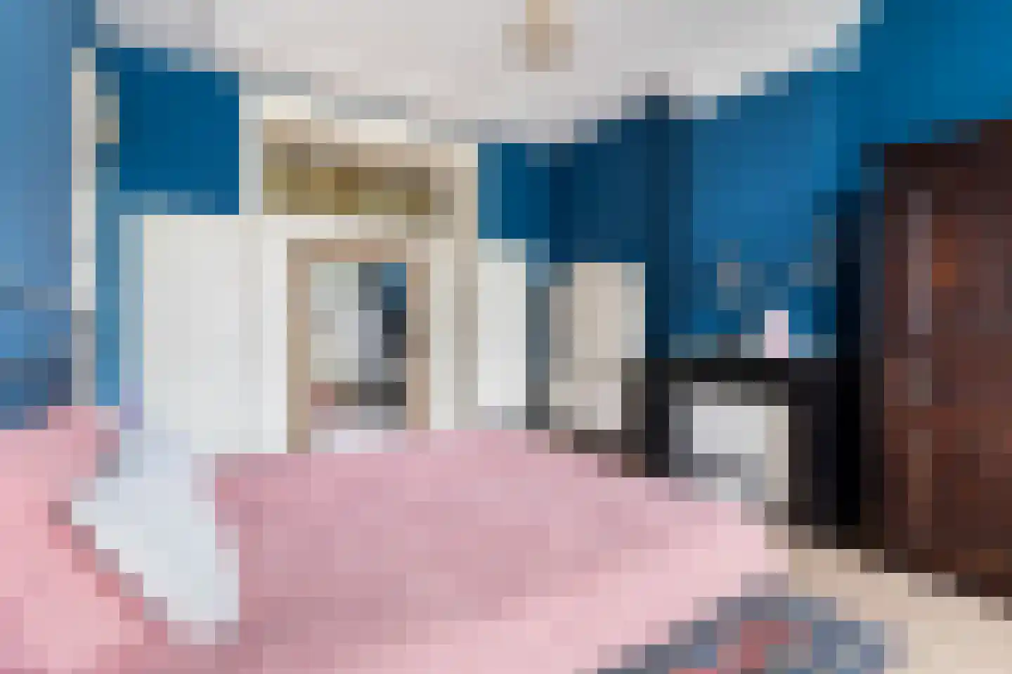 Valkenboslaan 14 Den Haag thumbnail 47