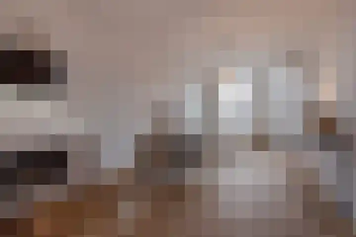 Valkenboslaan 20 Den Haag thumbnail 12