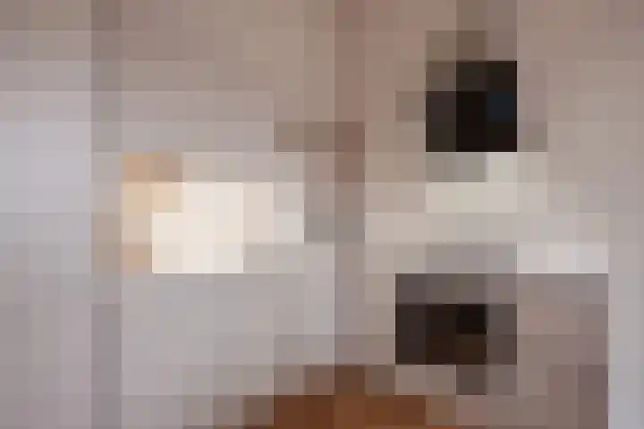 Valkenboslaan 20 Den Haag thumbnail 13