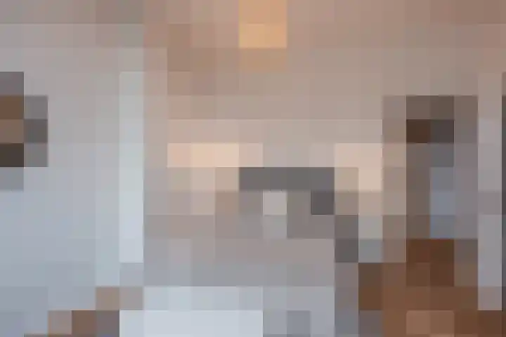 Valkenboslaan 20 Den Haag thumbnail 18