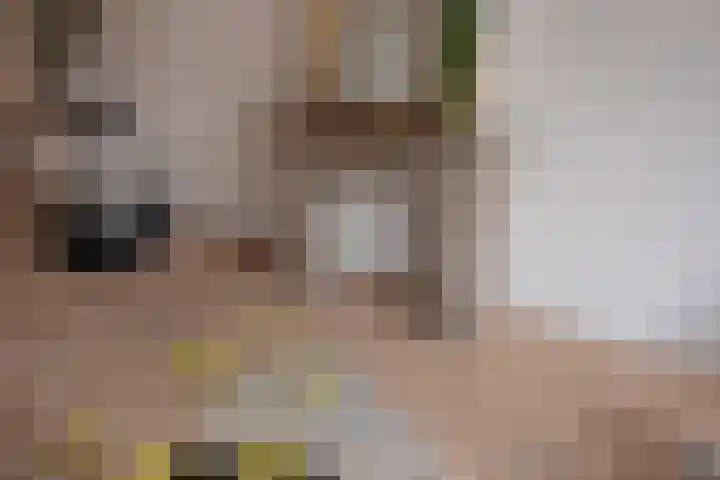 Valkenboslaan 22 Den Haag thumbnail 11