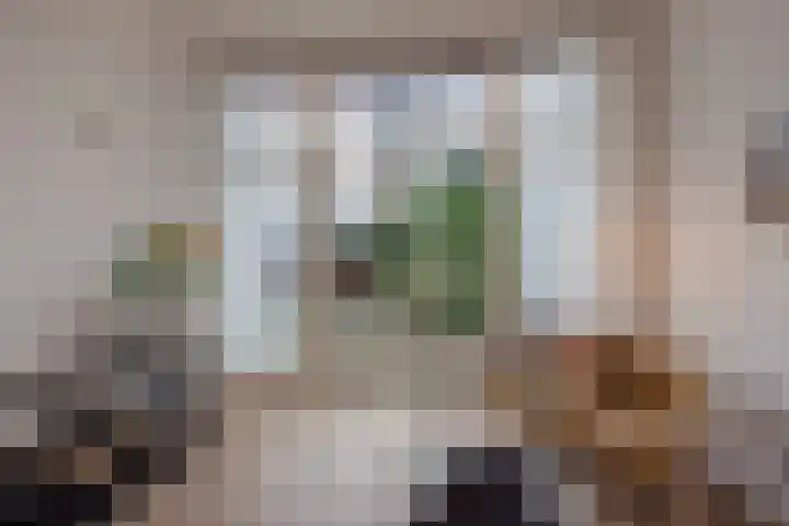 Valkenboslaan 22 Den Haag thumbnail 15