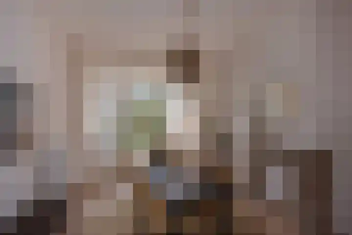 Valkenboslaan 22 Den Haag thumbnail 9