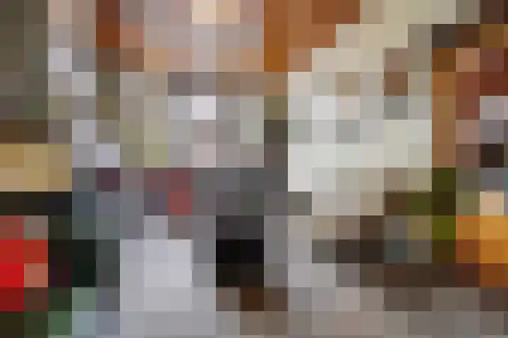 Valkenboslaan 228 Den Haag thumbnail 11
