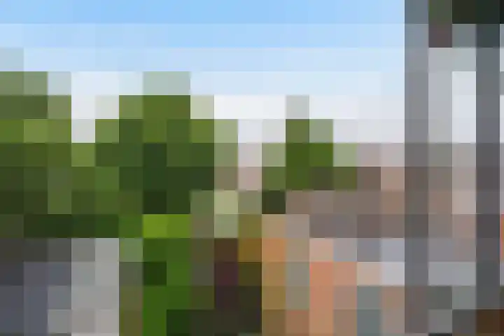 Valkenboslaan 228 Den Haag thumbnail 33