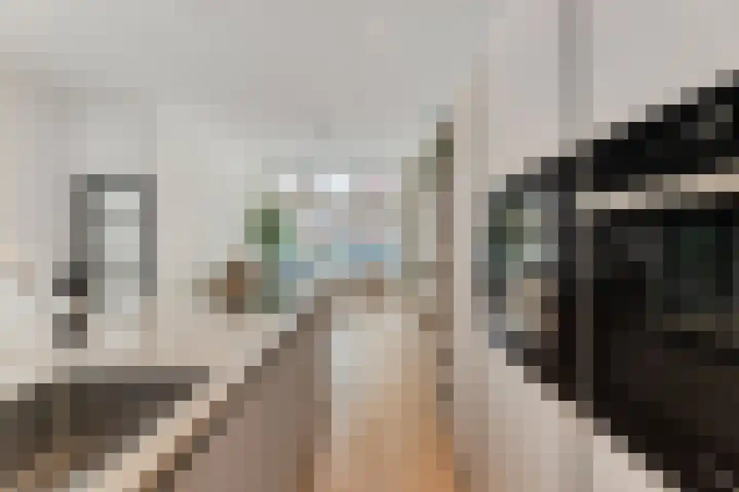Valkenboslaan 23 Den Haag thumbnail 20