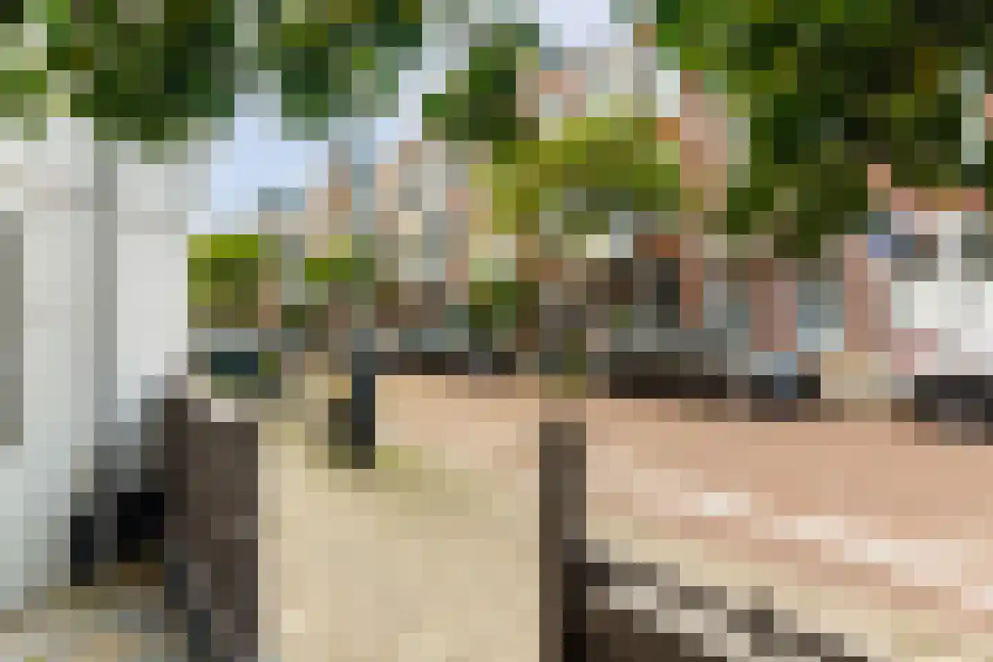 Valkenboslaan 23 Den Haag thumbnail 51