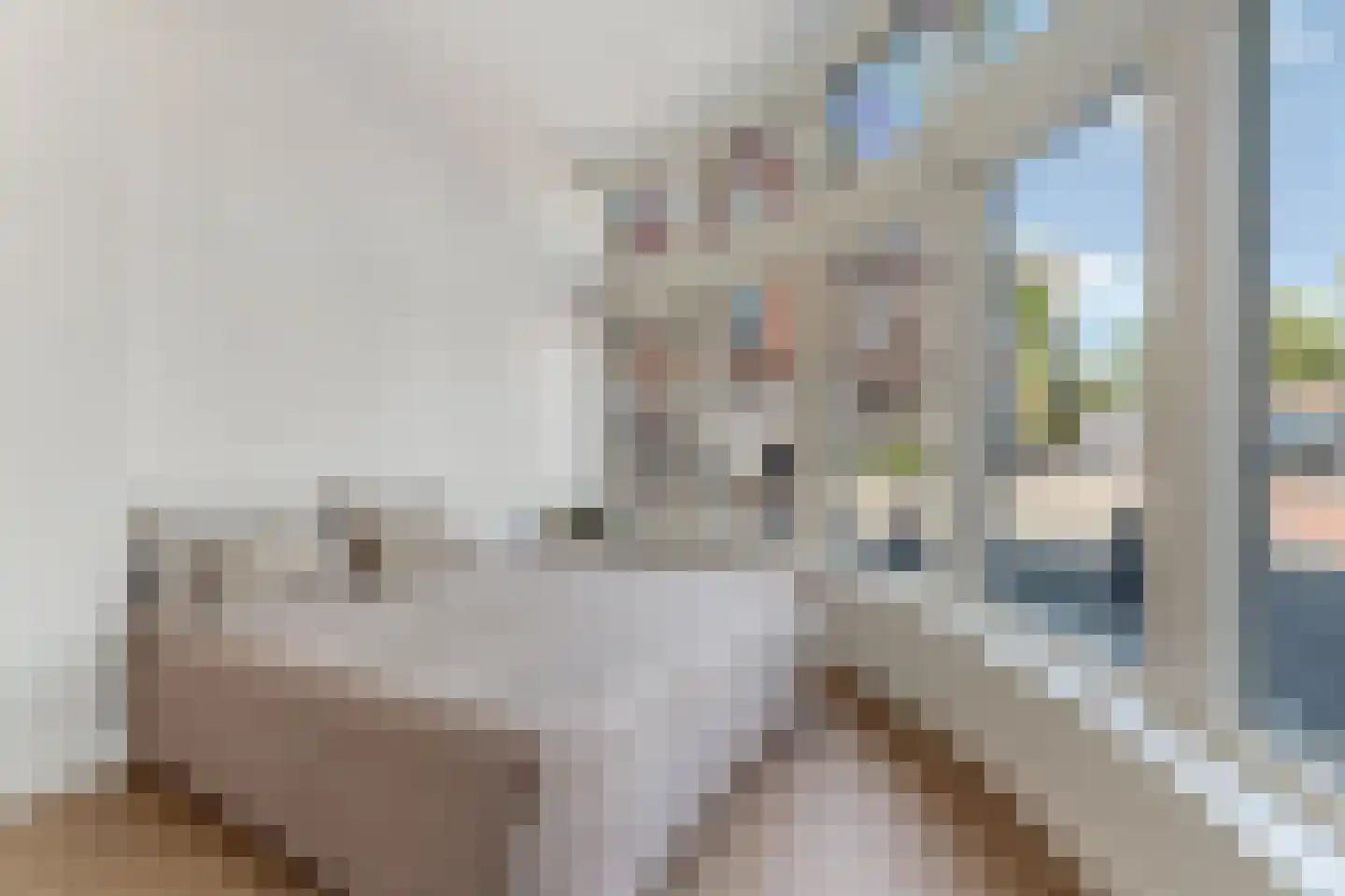 Valkenboslaan 23 Den Haag thumbnail 8