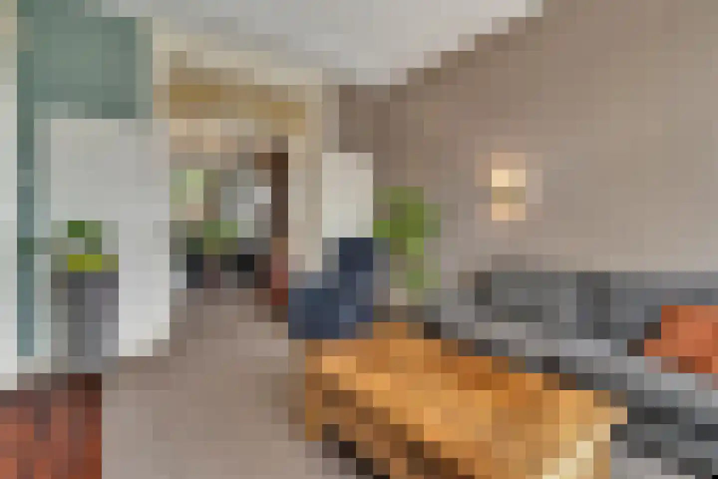 Valkenboslaan 238 Den Haag thumbnail 15