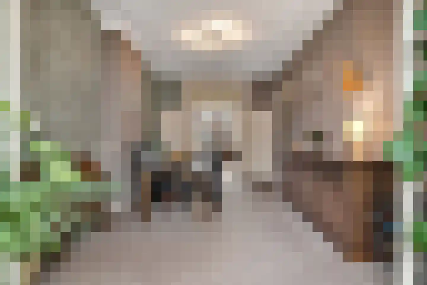 Valkenboslaan 238 Den Haag thumbnail 19