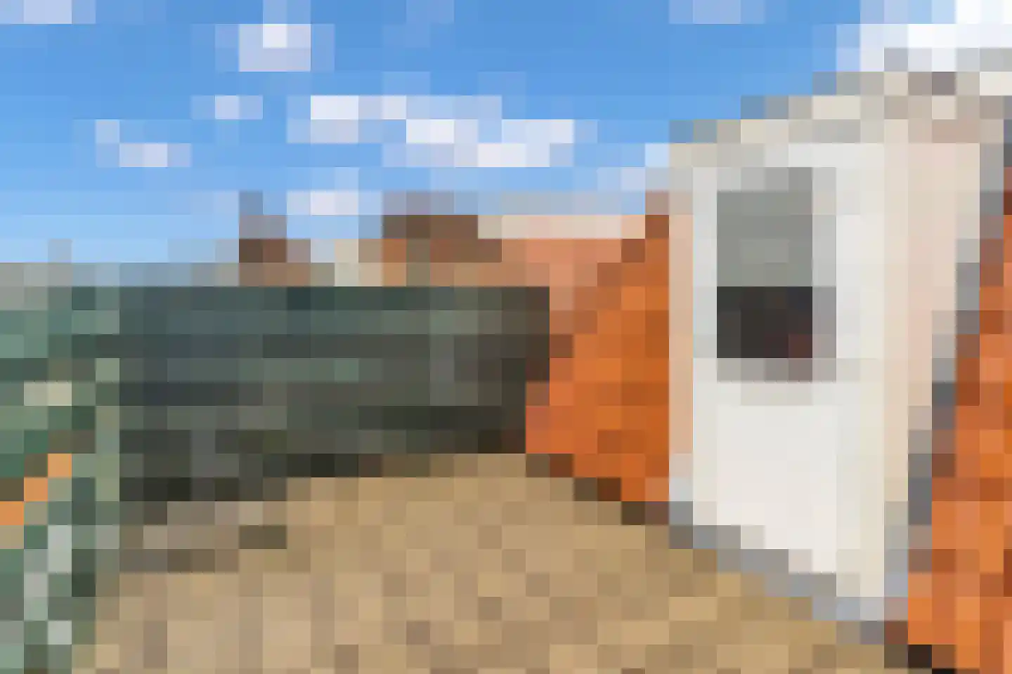 Valkenboslaan 238 Den Haag thumbnail 43