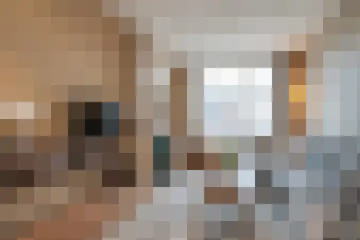 Valkenboslaan 245 Den Haag thumbnail 12