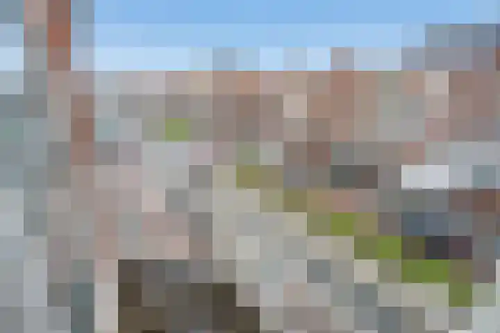 Valkenboslaan 245 Den Haag thumbnail 15