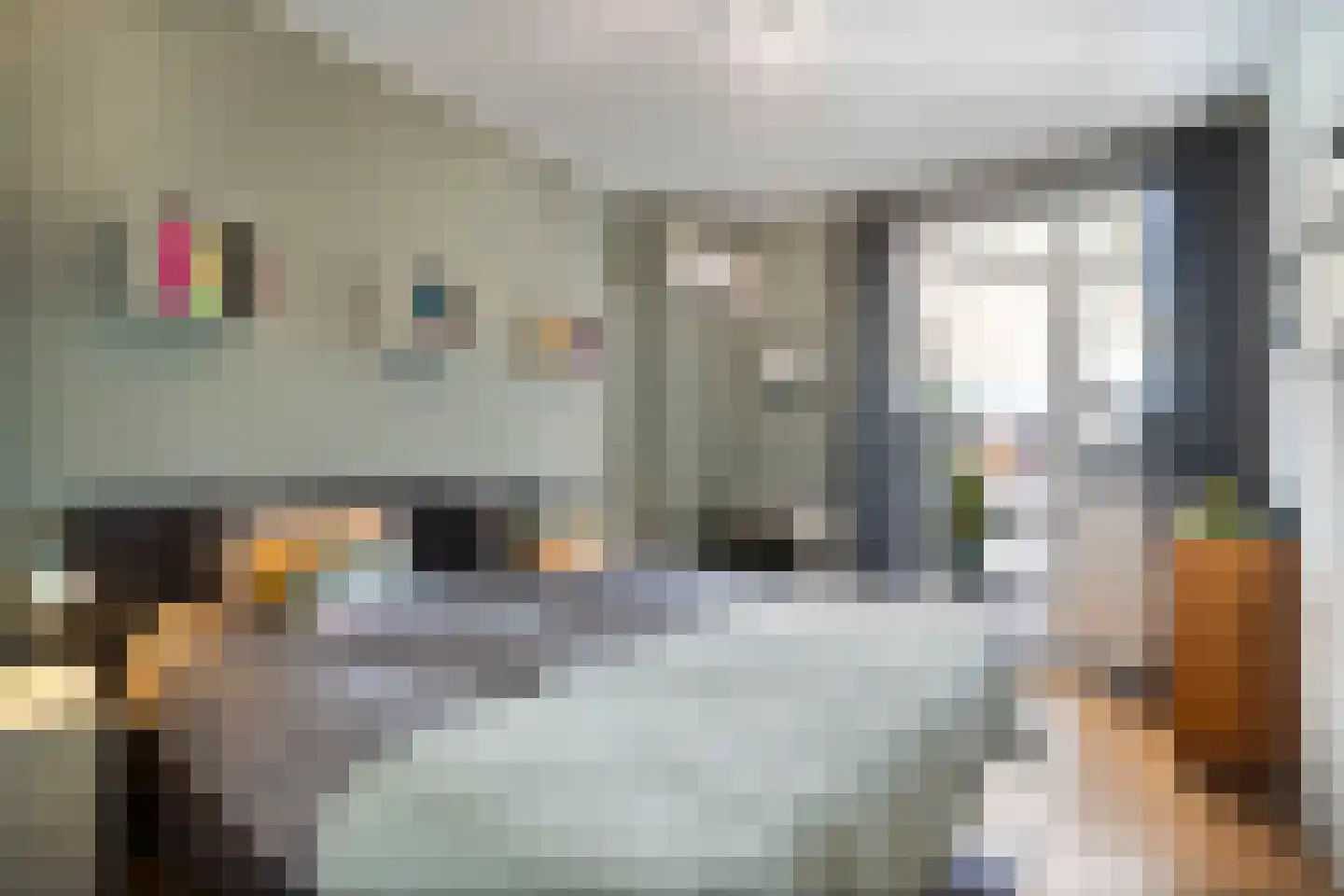Valkenboslaan 257 Den Haag thumbnail 12