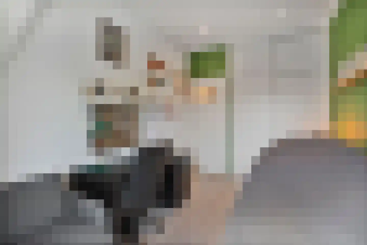Valkenboslaan 257 Den Haag thumbnail 20
