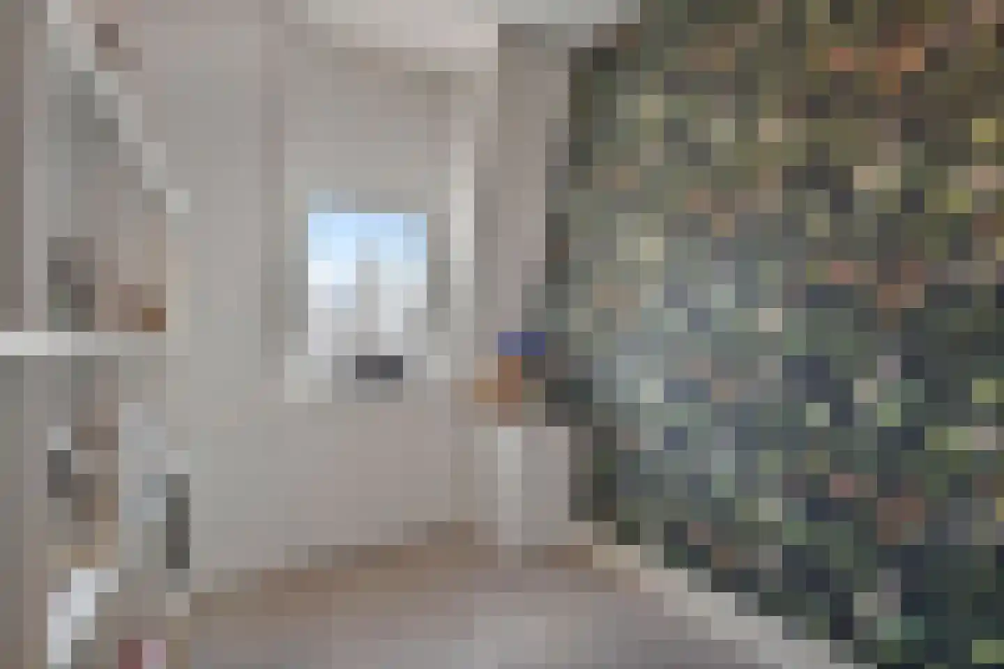 Valkenboslaan 257 Den Haag thumbnail 21