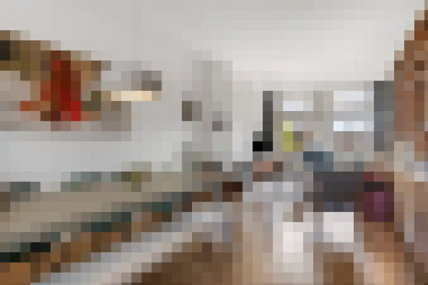 Valkenboslaan 257 Den Haag thumbnail 4