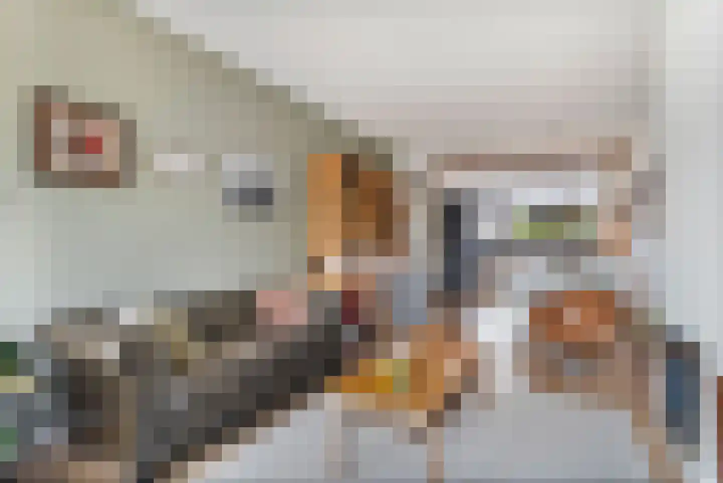 Valkenboslaan 257 Den Haag thumbnail 6