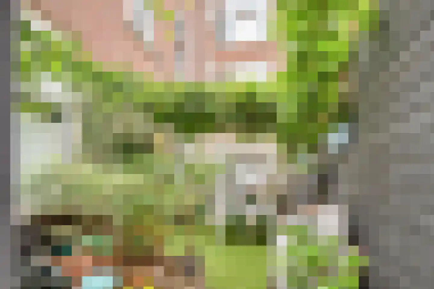 Valkenboslaan 266 Den Haag thumbnail 52