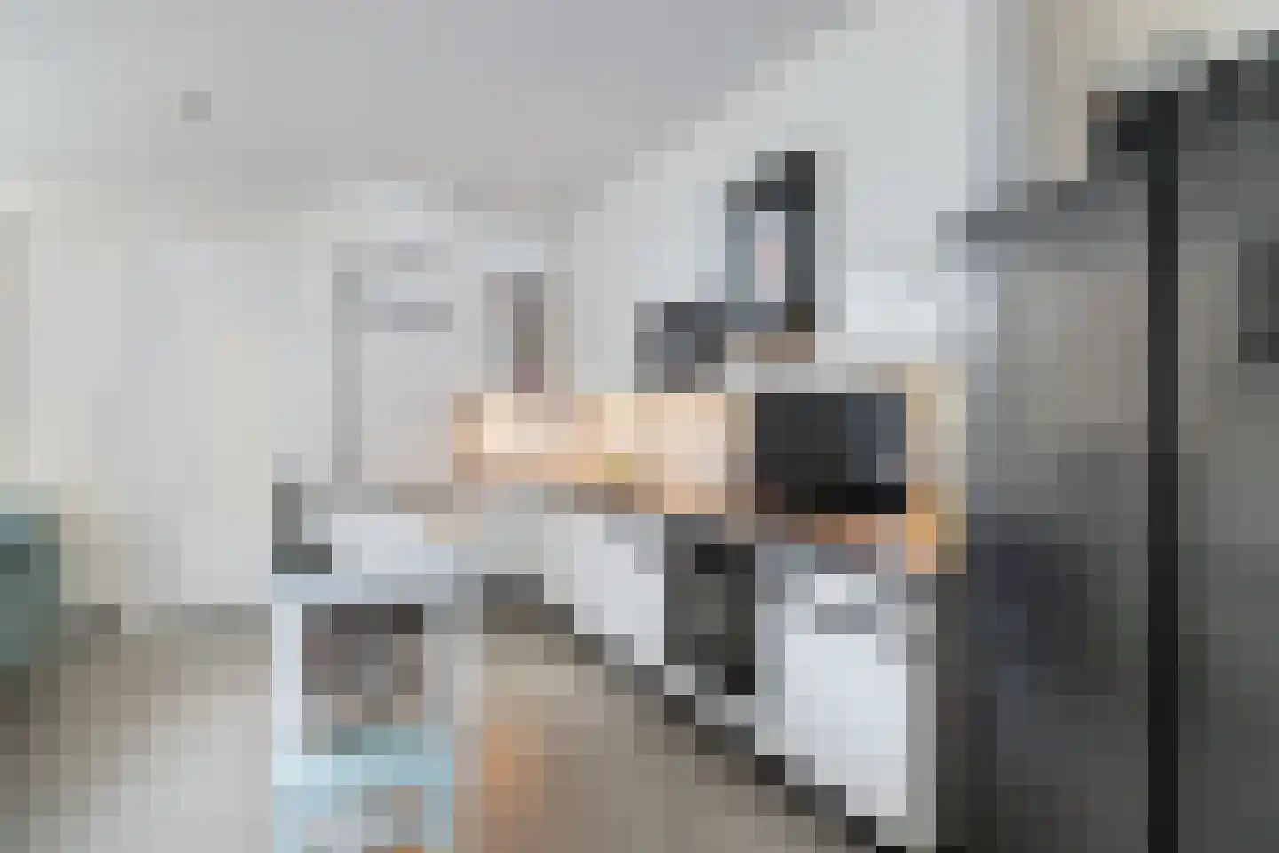 Valkenboslaan 266 Den Haag thumbnail 6